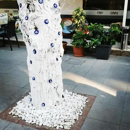 Punta Vista * Esmirna
